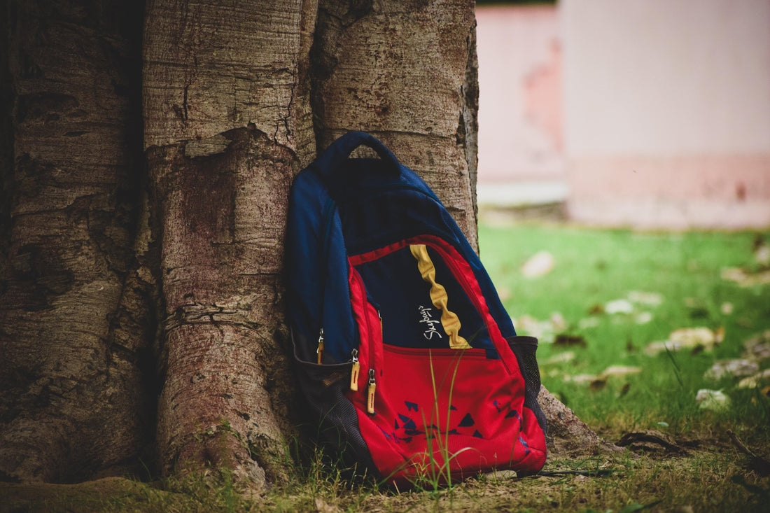 Fashion or Fiction 1: The School Bag Secret